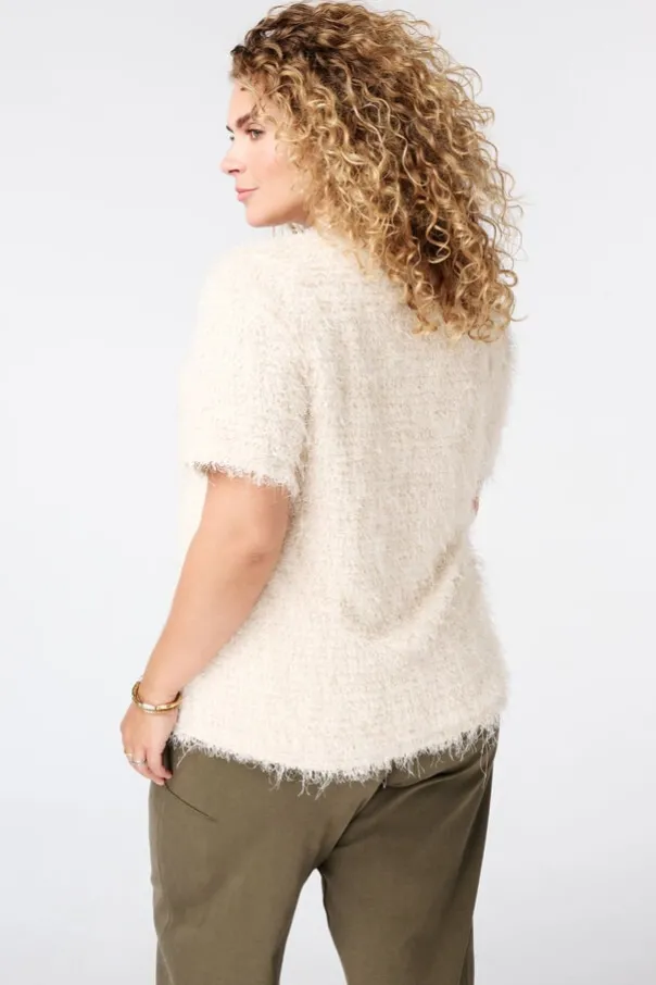 Fuzzy top